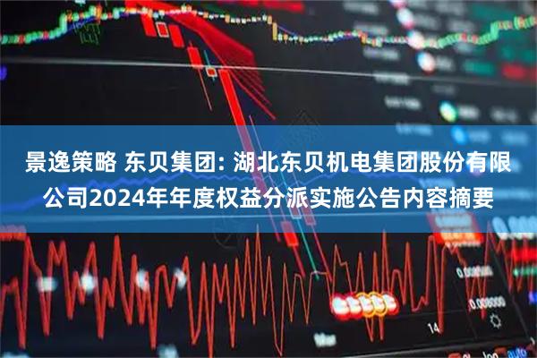 景逸策略 东贝集团: 湖北东贝机电集团股份有限公司2024年年度权益分派实施公告内容摘要
