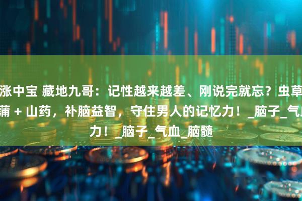 涨中宝 藏地九哥：记性越来越差、刚说完就忘？虫草 + 石菖蒲 + 山药，补脑益智，守住男人的记忆力！_脑子_气血_脑髓